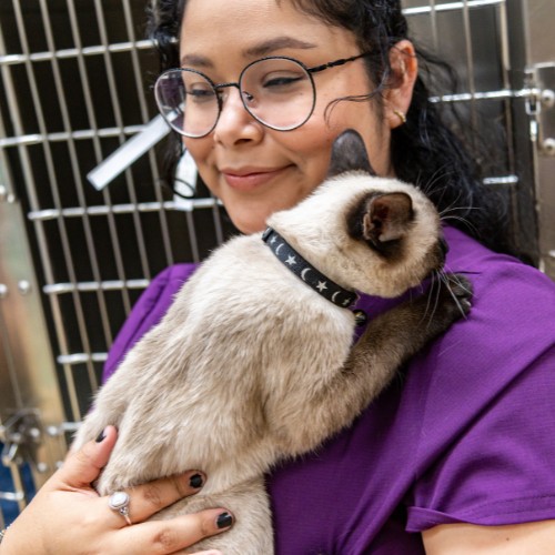 a vet staff holding a fluffy cat in her arms