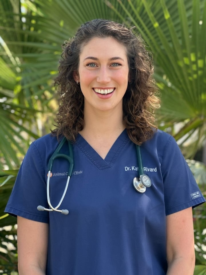 Dr. Rivard